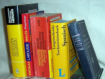 Dizionari bilingue